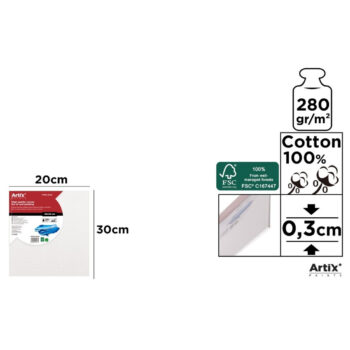 Carton panzat 20*30cm