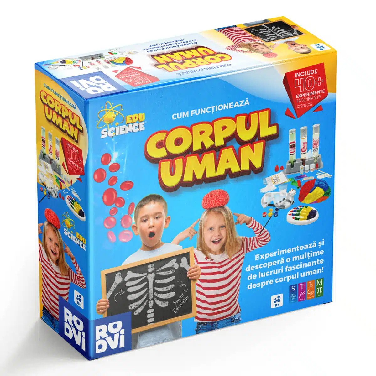 cum-functioneaza-corpul-uman4987.jpg